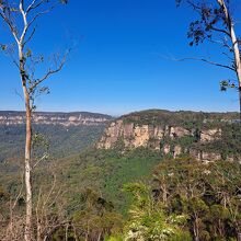 THEオーストラリア