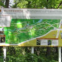 野草園案内図