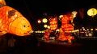 金魚好き集まれ〜！