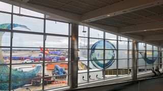 ボルチモア ワシントン国際空港 (BWI)