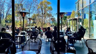 スタバのために！きてみました！