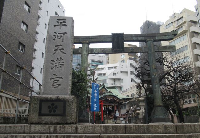 スズメが群れていました