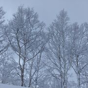 樹氷が素晴らしいオロフレ峠