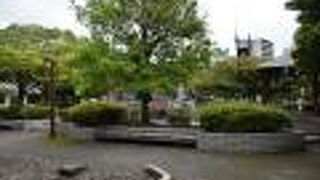 高知市のメイン通り沿いにある公園