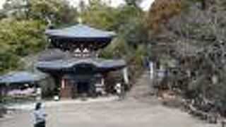 紅葉谷から原生林に囲まれた急登、運動靴が必要