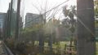 ボールが飛び出す心配もなさそう