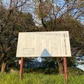 伊勢原八幡台石器時代住居跡