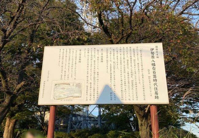 伊勢原八幡台石器時代住居跡