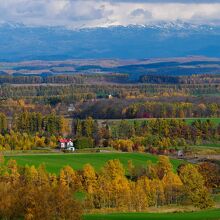中央付近に小さく見えるとんがり屋根