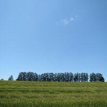 在りし日のマイルドセブンの丘（2012年7月撮影）