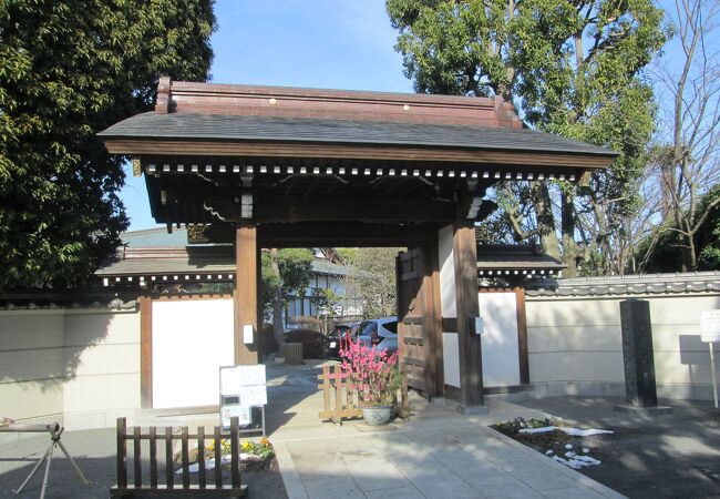 世田谷散策(14)烏山寺町で常栄寺に行きました