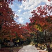 兵庫・西宮市にある高野山真言宗の仏教寺院！紅葉がグッド！