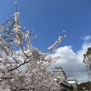 桜の季節に