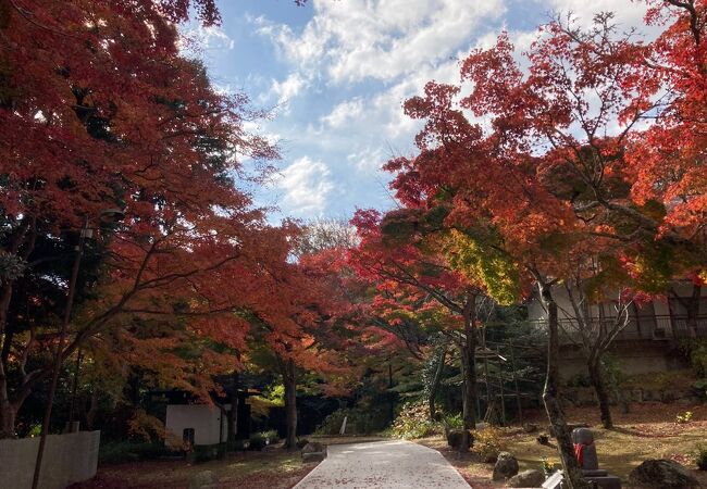 兵庫・西宮市にある高野山真言宗の仏教寺院！紅葉がグッド！