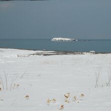 ゴメ島