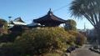 大変色々な見所がある