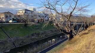 市民公園に隣接する桜の川