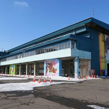 生まれて初めての競馬場です