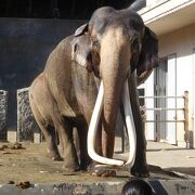 丘陵地帯にある動物園