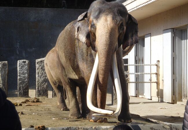 丘陵地帯にある動物園