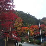 紅葉の時期は早くから駐車場がパンパン