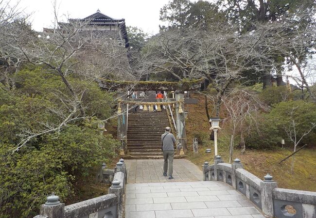 武雄神社の一の鳥居と三の鳥居は肥前鳥居です。