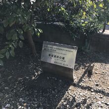 板垣退助の墓