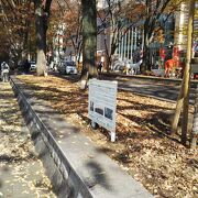 駅から大國魂神社までの参道