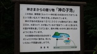 曇天でも青い！神さまからの贈り物「神の子池」