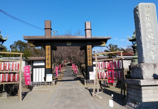 時宗総本山の大きな寺院