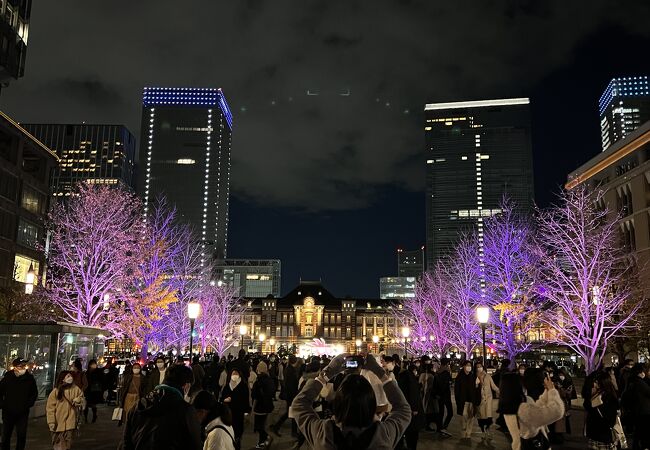 派手さはありません。東京駅を背景にすると素晴らしい