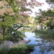 広い池泉回遊式庭園