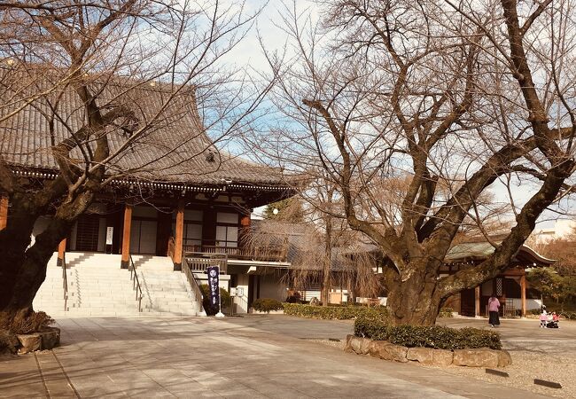 徳川に関するお墓多い