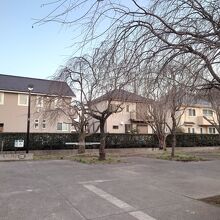 住宅地の中にこんな広い公園がある事に、驚かされます。