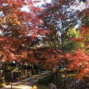 紅葉もきれいで見だくさん