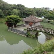 首里城公園の池にある