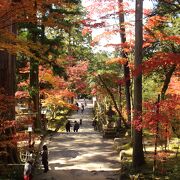 比較的コンパクトで紅葉もきれい