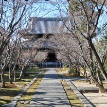 木々のある境内