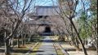 落ち着いた構え