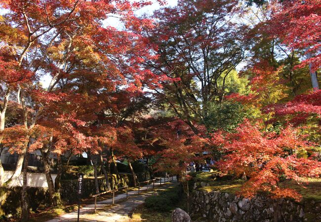 紅葉もきれいで見だくさん