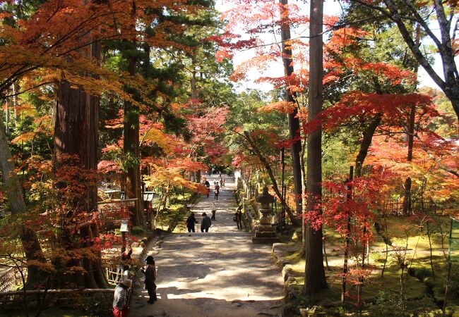 比較的コンパクトで紅葉もきれい