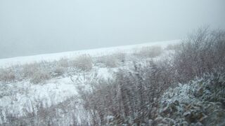 吹雪の中を特急北斗で