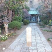 梅などの植物も楽しめる寺院