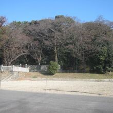 西側から眺めた古墳の様子