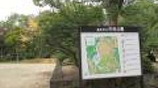 中央公園