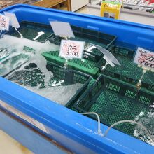千菜市では有明海の海産物も販売しています。