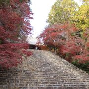 紅葉ランキング上位だったので行ってみました、日暮れが早かったです。