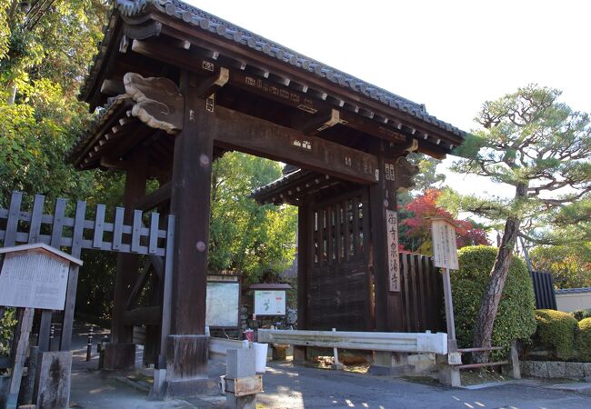 白砂と緑に囲まれた静かな寺院