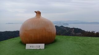 玉ねぎだらけ！