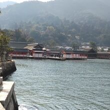 宮島桟橋から西に10分あまり歩くと、厳島神社が見えてくる。